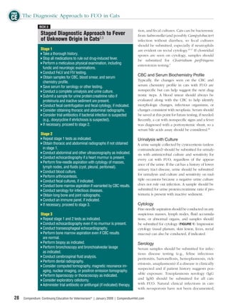 FREE
CE The Diagnostic Approach to FUO in Cats
                 BOX 2
                                                                                       tion, and fecal cultures. Cats can be bacteremic
                  Staged Diagnostic Approach to Fever                                  from Salmonella (and possibly Campylobacter)
                  of Unknown Origin in Cats2,3                                         infection without diarrhea, so fecal cultures
                                                                                       should be submitted, especially if neutrophils
                  Stage 1                                                              are evident on rectal cytology.15-17 If clostridial
                   Take a thorough history.                                            spores are seen on cytology, samples should
                   Stop all medications to rule out drug-induced fever.                be submitted for Clostridium perfringens
                   Perform a meticulous physical examination, including
                                                                                       enterotoxin testing.5
                   fundic and neurologic examinations.
                   Conduct FeLV and FIV testing.
                                                                                       CBC and Serum Biochemistry Profile
                   Obtain samples for CBC, blood smear, and serum
                                                                                       Typically, the changes seen on the CBC and
                   chemistry proﬁle.
                   Save serum for serology or other testing.                           serum chemistry proﬁle in cats with FUO are
                   Conduct a complete urinalysis and urine culture.                    nonspeciﬁc but can help suggest the next diag-
                   Submit a sample for urine protein:creatinine ratio if               nostic steps. A blood smear should always be
                   proteinuria and inactive sediment are present.                      evaluated along with the CBC to help identify
                   Conduct fecal centrifugation and fecal cytology, if indicated.      morphologic changes, infectious organisms, or
                   Consider obtaining thoracic and abdominal radiographs.              changes consistent with neoplasia. Serum should
                   Consider trial antibiotics if bacterial infection is suspected      be saved at this point for future testing, if needed.
                   (e.g., doxycycline if ehrlichiosis is suspected).                   Recently, a cat with nonspeciﬁc signs and a fever
                   If necessary, proceed to stage 2.                                   was diagnosed with a portosystemic shunt, so a
                                                                                       serum bile acids assay should be considered.18
                  Stage 2
                   Repeat stage 1 tests as indicated.                                  Urinalysis with Culture
                   Obtain thoracic and abdominal radiographs if not obtained           A urine sample collected by cystocentesis (unless
                   in stage 1.                                                         contraindicated) should be submitted for urinaly-
                   Conduct abdominal and other ultrasonography as indicated.           sis with antimicrobial culture and sensitivity for
                   Conduct echocardiography if a heart murmur is present.              every cat with FUO, regardless of the appear-
                   Perform ﬁne-needle aspiration with cytology of masses,
                                                                                       ance of the urine. If the cat has a history of lower
                   lymph nodes, and ﬂuids (cyst, pleural, peritoneal).
                                                                                       urinary tract disease, urine should be submitted
                   Conduct blood culture.
                                                                                       for urinalysis and culture and sensitivity on mul-
                   Perform arthrocentesis.
                                                                                       tiple occasions because a negative urine culture
                   Conduct fecal cultures, if indicated.
                   Conduct bone marrow aspiration if warranted by CBC results.         does not rule out infection. A sample should be
                   Conduct serology for infectious diseases.                           submitted for urine protein:creatinine ratio if pro-
                   Obtain long bone and joint radiographs.                             teinuria is present with inactive sediment.
                   Conduct an immune panel, if indicated.
                   If necessary, proceed to stage 3.                                   Cytology
                                                                                       Fine-needle aspiration should be conducted on any
                  Stage 3                                                              suspicious masses, lymph nodes, ﬂuid accumula-
                   Repeat stage 1 and 2 tests as indicated.                            tions, or abnormal organs, and samples should
                   Conduct echocardiography even if no murmur is present.              be submitted for cytology (FIGURE 1). Impression
                   Conduct transesophageal echocardiography.                           cytology (nasal planum, skin lesion, feces, rectal
                   Perform bone marrow aspiration even if CBC results                  mucosa) can also be conducted, if indicated.
                   are normal.
                   Perform biopsy as indicated.                                        Serology
                   Perform bronchoscopy and bronchoalveolar lavage                     Serum samples should be submitted for infec-
                   as indicated.                                                       tious disease testing (e.g., feline infectious
                   Conduct cerebrospinal ﬂuid analysis.                                peritonitis, bartonellosis, hemoplasmosis, rick-
                   Perform dental radiography.
                                                                                       ettsiosis, anaplasmosis) if a disease is clinically
                   Consider computed tomography, magnetic resonance im-
                                                                                       suspected and if patient history suggests pos-
                   aging, nuclear imaging, or positron emission tomography.
                                                                                       sible exposure. Toxoplasmosis serology (IgG
                   Perform laparoscopy or thoracoscopy as indicated.
                   Consider exploratory celiotomy.                                     and IgM) should be submitted for all cats
                   Administer trial antibiotic or antifungal (if indicated) therapy.   with FUO. Natural clinical infections in cats
                                                                                       with neosporosis have not been documented,

 28   Compendium: Continuing Education for Veterinarians® | January 2009 | CompendiumVet.com
 