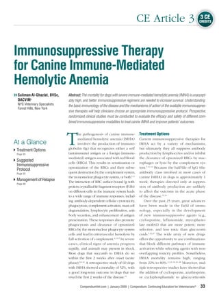 CE Article 3                                  3 CE
                                                                                                                                CREDITS




Immunosuppressive Therapy
for Canine Immune-Mediated
Hemolytic Anemia
❯❯ Suliman Al-Ghazlat, BVSc,   Abstract: The mortality for dogs with severe immune-mediated hemolytic anemia (IMHA) is unaccept-
   DACVIMa                     ably high, and better immunosuppressive regimens are needed to increase survival. Understanding
  NYC Veterinary Specialists   the basic immunology of the disease and the mechanisms of action of the available immunosuppres-
  Forest Hills, New York
                               sive therapies will help clinicians choose an appropriate immunosuppressive protocol. Prospective,
                               randomized clinical studies must be conducted to evaluate the efﬁcacy and safety of different com-
                               bined immunosuppressive modalities to treat canine IMHA and improve patients’ outcomes.




                               T
                                      he pathogenesis of canine immune-           Treatment Options
                                      mediated hemolytic anemia (IMHA)            Current immunosuppressive therapies for
At a Glance                           involves the production of immuno-          IMHA act by a variety of mechanisms,
 Treatment Options             globulin (Ig) that recognizes either a self        but ultimately they all suppress antibody
 Page 33                       (autoimmune) antigen or a foreign (immune-         production by lymphocytes and/or inhibit
                               mediated) antigen associated with red blood        the clearance of opsonized RBCs by mac-
 Suggested
                               cells (RBCs). This results in sensitization or     rophages or lysis by the complement sys-
 Immunosuppressive
                               opsonization of the RBCs and their subse-          tem.5,12–14 Because the half-life of IgG (the
 Protocol
 Page 35                       quent destruction by the complement system,        antibody class involved in most cases of
                               the mononuclear phagocyte system, or both.1–3      canine IMHA) in dogs is approximately 1
 Management of Relapse         The interaction of RBC surface-bound Ig with       week, therapies directed only at suppres-
 Page 40
                               protein crystallizable fragment receptors (FcRs)   sion of antibody production are unlikely
                               on different cells in the immune system leads      to affect the outcome in the acute phase
                               to a wide range of immune responses, includ-       of the disease.13,14
                               ing antibody-dependent cellular cytotoxicity,         Over the past 25 years, great advances
                               phagocytosis, complement activation, mast cell     have been made in the field of immu-
                               degranulation, lymphocyte proliferation, anti-     nology, especially in the development
                               body secretion, and enhancement of antigen         of new immunosuppressive agents (e.g.,
                               presentation. These responses also promote         cyclosporine, leflunomide, mycopheno-
                               phagocytosis and clearance of opsonized            late mofetil) that are more potent, more
                               RBCs by the mononuclear phagocyte system           selective, and less toxic than glucocorti-
                               cells and lead to intravascular hemolysis by       coids.5,14,15 The wide array of new drugs
                               full activation of complement.1,2,4,5 In severe    offers the opportunity to use combinations
                               cases, clinical signs of anemia progress           that block different pathways of immune
                               rapidly, and animals may present in shock.         activation while selecting agents with non-
                               Most dogs that succumb to IMHA do so               overlapping toxicity proﬁles. Nonetheless,
                               within the ﬁrst 2 weeks after onset (acute         IMHA mortality remains high, ranging
                               phase).3,6–11 A retrospective study of 60 dogs     from 22% to 80%.2,3,6–11,16–18 Moreover, mul-
                               with IMHA showed a mortality of 52%, with          tiple retrospective studies have shown that
                               a good long-term outcome in dogs that sur-         the addition of cyclosporine, azathioprine,
                               vived the ﬁrst 2 weeks of the disease.11           or cyclophosphamide to glucocorticoids

                                       CompendiumVet.com | January 2009 | Compendium: Continuing Education for Veterinarians®   33
 