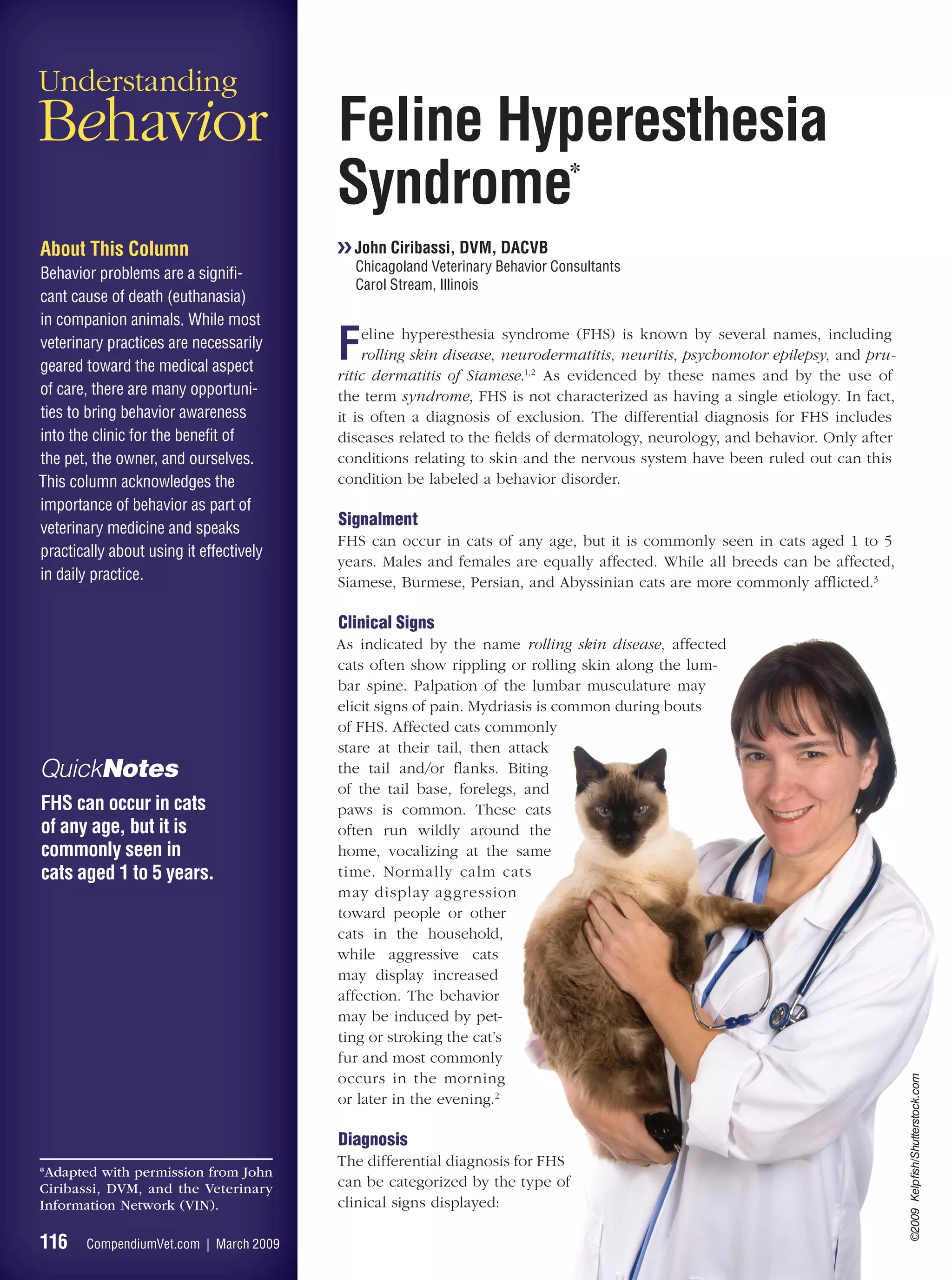 Understanding
Behavior                                 Feline Hyperesthesia
                                         Syndrome*
About This Column                        ❯❯ John Ciribassi, DVM, DACVB
Behavior problems are a signiﬁ-            Chicagoland Veterinary Behavior Consultants
                                           Carol Stream, Illinois
cant cause of death (euthanasia)
in companion animals. While most
veterinary practices are necessarily
geared toward the medical aspect
                                         F    eline hyperesthesia syndrome (FHS) is known by several names, including
                                              rolling skin disease, neurodermatitis, neuritis, psychomotor epilepsy, and pru-
                                         ritic dermatitis of Siamese.1,2 As evidenced by these names and by the use of
of care, there are many opportuni-       the term syndrome, FHS is not characterized as having a single etiology. In fact,
ties to bring behavior awareness         it is often a diagnosis of exclusion. The differential diagnosis for FHS includes
into the clinic for the beneﬁt of        diseases related to the ﬁelds of dermatology, neurology, and behavior. Only after
the pet, the owner, and ourselves.       conditions relating to skin and the nervous system have been ruled out can this
This column acknowledges the             condition be labeled a behavior disorder.
importance of behavior as part of
veterinary medicine and speaks
                                         Signalment
                                         FHS can occur in cats of any age, but it is commonly seen in cats aged 1 to 5
practically about using it effectively
                                         years. Males and females are equally affected. While all breeds can be affected,
in daily practice.                       Siamese, Burmese, Persian, and Abyssinian cats are more commonly afﬂicted.3

                                         Clinical Signs
                                         As indicated by the name rolling skin disease, affected
                                         cats often show rippling or rolling skin along the lum-
                                         bar spine. Palpation of the lumbar musculature may
                                         elicit signs of pain. Mydriasis is common during bouts
                                         of FHS. Affected cats commonly
                                         stare at their tail, then attack
QuickNotes                               the tail and/or ﬂanks. Biting
                                         of the tail base, forelegs, and
FHS can occur in cats                    paws is common. These cats
of any age, but it is                    often run wildly around the
commonly seen in                         home, vocalizing at the same
cats aged 1 to 5 years.                  time. Normally calm cats
                                         may display aggression
                                         toward people or other
                                         cats in the household,
                                         while aggressive cats
                                         may display increased
                                         affection. The behavior
                                         may be induced by pet-
                                         ting or stroking the cat’s
                                         fur and most commonly
                                         occurs in the morning
                                                                                                                                ©2009 Kelpfish/Shutterstock.com




                                         or later in the evening.2

                                         Diagnosis
                                         The differential diagnosis for FHS
*Adapted with permission from John
Ciribassi, DVM, and the Veterinary       can be categorized by the type of
Information Network (VIN).               clinical signs displayed:

116     CompendiumVet.com | March 2009
 