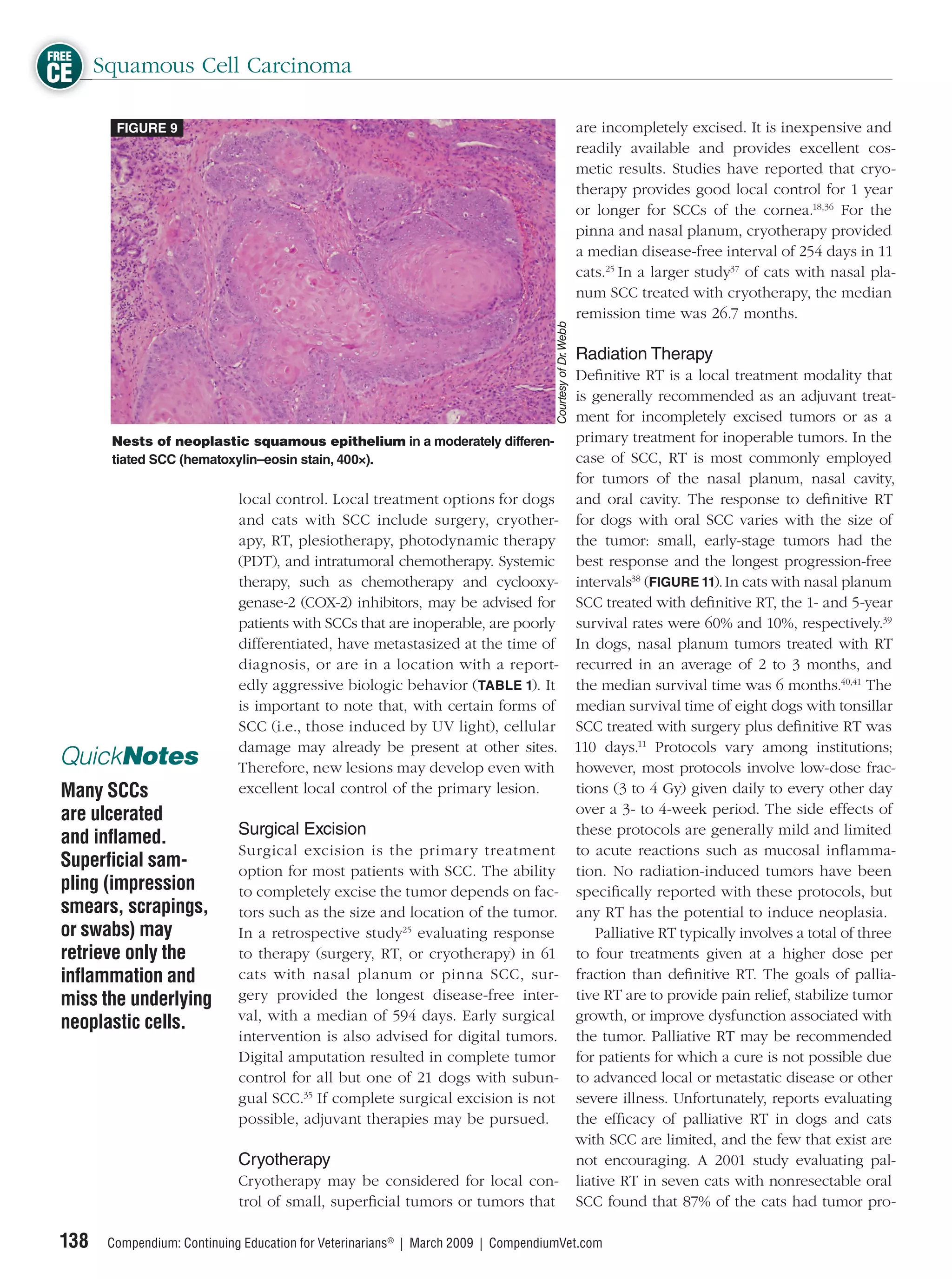 FREE
CE Squamous Cell Carcinoma
        FIGURE 9                                                                                          are incompletely excised. It is inexpensive and
                                                                                                          readily available and provides excellent cos-
                                                                                                          metic results. Studies have reported that cryo-
                                                                                                          therapy provides good local control for 1 year
                                                                                                          or longer for SCCs of the cornea.18,36 For the
                                                                                                          pinna and nasal planum, cryotherapy provided
                                                                                                          a median disease-free interval of 254 days in 11
                                                                                                          cats.25 In a larger study37 of cats with nasal pla-
                                                                                                          num SCC treated with cryotherapy, the median
                                                                                                          remission time was 26.7 months.




                                                                                   Courtesy of Dr. Webb
                                                                                                          Radiation Therapy
                                                                                                          Deﬁnitive RT is a local treatment modality that
                                                                                                          is generally recommended as an adjuvant treat-
                                                                                                          ment for incompletely excised tumors or as a
       Nests of neoplastic squamous epithelium in a moderately differen-                                  primary treatment for inoperable tumors. In the
       tiated SCC (hematoxylin–eosin stain, 400×).                                                        case of SCC, RT is most commonly employed
                                                                                                          for tumors of the nasal planum, nasal cavity,
                             local control. Local treatment options for dogs                              and oral cavity. The response to deﬁnitive RT
                             and cats with SCC include surgery, cryother-                                 for dogs with oral SCC varies with the size of
                             apy, RT, plesiotherapy, photodynamic therapy                                 the tumor: small, early-stage tumors had the
                             (PDT), and intratumoral chemotherapy. Systemic                               best response and the longest progression-free
                             therapy, such as chemotherapy and cyclooxy-                                  intervals38 (FIGURE 11). In cats with nasal planum
                             genase-2 (COX-2) inhibitors, may be advised for                              SCC treated with deﬁnitive RT, the 1- and 5-year
                             patients with SCCs that are inoperable, are poorly                           survival rates were 60% and 10%, respectively.39
                             differentiated, have metastasized at the time of                             In dogs, nasal planum tumors treated with RT
                             diagnosis, or are in a location with a report-                               recurred in an average of 2 to 3 months, and
                             edly aggressive biologic behavior (TABLE 1). It                              the median survival time was 6 months.40,41 The
                             is important to note that, with certain forms of                             median survival time of eight dogs with tonsillar
                             SCC (i.e., those induced by UV light), cellular                              SCC treated with surgery plus deﬁnitive RT was
                             damage may already be present at other sites.                                110 days.11 Protocols vary among institutions;
 QuickNotes                  Therefore, new lesions may develop even with                                 however, most protocols involve low-dose frac-
 Many SCCs                   excellent local control of the primary lesion.                               tions (3 to 4 Gy) given daily to every other day
 are ulcerated                                                                                            over a 3- to 4-week period. The side effects of
                             Surgical Excision                                                            these protocols are generally mild and limited
 and inﬂamed.
                             Surgical excision is the primary treatment                                   to acute reactions such as mucosal inﬂamma-
 Superﬁcial sam-             option for most patients with SCC. The ability                               tion. No radiation-induced tumors have been
 pling (impression           to completely excise the tumor depends on fac-                               speciﬁcally reported with these protocols, but
 smears, scrapings,          tors such as the size and location of the tumor.                             any RT has the potential to induce neoplasia.
 or swabs) may               In a retrospective study25 evaluating response                                   Palliative RT typically involves a total of three
 retrieve only the           to therapy (surgery, RT, or cryotherapy) in 61                               to four treatments given at a higher dose per
 inﬂammation and             cats with nasal planum or pinna SCC, sur-                                    fraction than deﬁnitive RT. The goals of pallia-
 miss the underlying         gery provided the longest disease-free inter-                                tive RT are to provide pain relief, stabilize tumor
                             val, with a median of 594 days. Early surgical                               growth, or improve dysfunction associated with
 neoplastic cells.
                             intervention is also advised for digital tumors.                             the tumor. Palliative RT may be recommended
                             Digital amputation resulted in complete tumor                                for patients for which a cure is not possible due
                             control for all but one of 21 dogs with subun-                               to advanced local or metastatic disease or other
                             gual SCC.35 If complete surgical excision is not                             severe illness. Unfortunately, reports evaluating
                             possible, adjuvant therapies may be pursued.                                 the efﬁcacy of palliative RT in dogs and cats
                                                                                                          with SCC are limited, and the few that exist are
                             Cryotherapy                                                                  not encouraging. A 2001 study evaluating pal-
                             Cryotherapy may be considered for local con-                                 liative RT in seven cats with nonresectable oral
                             trol of small, superﬁcial tumors or tumors that                              SCC found that 87% of the cats had tumor pro-

 138   Compendium: Continuing Education for Veterinarians® | March 2009 | CompendiumVet.com
 