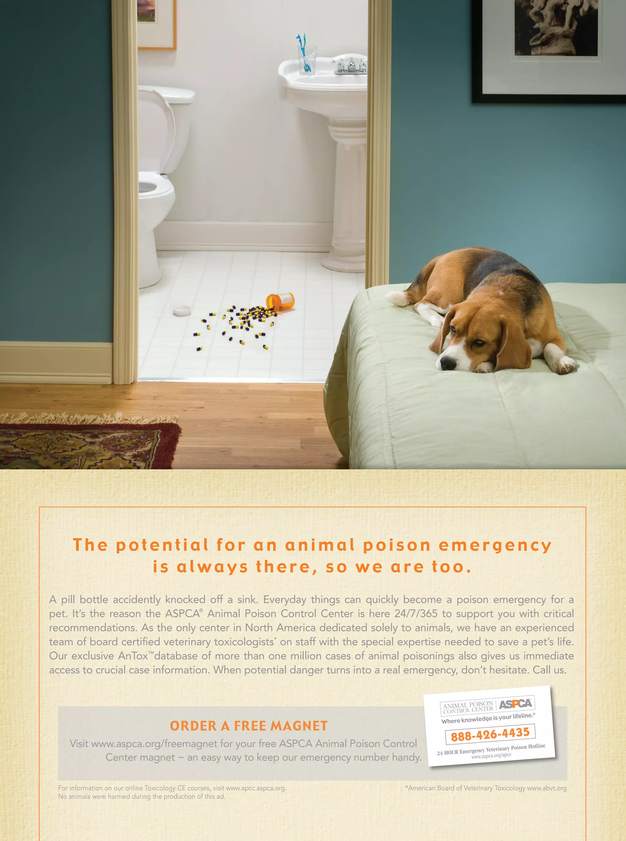 The potential for an animal poison emergency
             is always there, so we are too.
A pill bottle accidently knocked off a sink. Everyday things can quickly become a poison emergency for a
pet. It’s the reason the ASPCA® Animal Poison Control Center is here 24/7/365 to support you with critical
recommendations. As the only center in North America dedicated solely to animals, we have an experienced
team of board certiﬁed veterinary toxicologists* on staff with the special expertise needed to save a pet’s life.
Our exclusive AnTox™database of more than one million cases of animal poisonings also gives us immediate
access to crucial case information. When potential danger turns into a real emergency, don’t hesitate. Call us.




                                       ORDER A FREE MAGNET
    Visit www.aspca.org/freemagnet for your free ASPCA Animal Poison Control
            Center magnet − an easy way to keep our emergency number handy.

 For information on our online Toxicology CE courses, visit www.apcc.aspca.org.   *American Board of Veterinary Toxicology www.abvt.org
 No animals were harmed during the production of this ad.
 