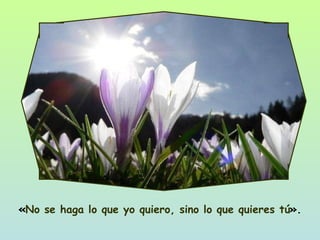 « No se haga lo que yo quiero, sino lo que quieres tú ». 