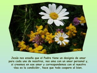 Jesús nos enseña que el Padre tiene un designio de amor para cada uno de nosotros, nos ama con un amor personal y, si creemos en ese amor y correspondemos con el nuestro –ésa es la condición–, hace que todo coopere al bien.  