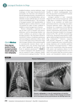 FREE
CE Laryngeal Paralysis in Dogs
                            peripheral weakness, exercise intolerance, mega-          of aspiration largely outweighs the diagnostic
                            esophagus, or other signs of generalized poly-            beneﬁts of contrast esophagography; there-
                            neuropathy, free thyroxine and endogenous                 fore, this procedure is not performed routinely
                            thyroid-stimulating hormone concentrations are            in dogs with laryngeal paralysis.
                            measured to rule out hypothyroidism, and ace-                 Laryngeal paralysis is most commonly
                            tylcholine receptor antibody titers are measured          diagnosed with transoral laryngoscopy under
                            to rule out myasthenia gravis.7,19 The association        a light plane of anesthesia. Excessive admin-
                            of laryngeal paralysis with hypothyroidism or             istration of any anesthetic can inhibit laryn-
                            myasthenia gravis is unclear, however, as medi-           geal motion; however, some drugs may reduce
                            cal treatment for either of these conditions is           arytenoid abduction under a light plane of
                            unlikely to restore laryngeal nerve function.             anesthesia. In a comparison of seven different
                                Thoracic radiography is important for rul-            anesthetic protocols,21 acepromazine plus thi-
                            ing out other causes of dyspnea and exercise              opental, acepromazine plus propofol, and ket-
                            intolerance and for determining whether con-              amine plus diazepam resulted in no laryngeal
                            current conditions are present in dogs with               motion in 67%, 50%, and 50% of normal dogs,
                            laryngeal paralysis. The lung ﬁelds should be             respectively. Thiopental and propofol as single
                            assessed for evidence of aspiration pneumonia             agents inhibit laryngeal motion less than these
                            and noncardiogenic pulmonary edema, which                 drug combinations.21,22 However, compared
                            can occur with upper airway obstruction. Dogs             with propofol, thiopental as a single agent
 QuickNotes                 with laryngeal paralysis from polyneuropathy              results in signiﬁcantly more arytenoid motion
                            or neuromuscular junction disease such as                 during inspiration and is therefore preferred
 Every dog sus-             myasthenia gravis may develop megaesopha-                 for evaluation of laryngeal function.21,22 Often,
 pected of having           gus, which signiﬁcantly increases the likeli-             dogs receive acepromazine when they present
 laryngeal paralysis        hood of aspiration pneumonia11,12 (FIGURE 3).             with anxiety and respiratory distress. In the
 should undergo tho-        A contrast esophagram with videoﬂuoroscopy                comparison study, laryngeal function was evi-
 racic radiography.         may be required to make a deﬁnitive diagno-               dent in all normal dogs that received acepro-
                            sis of decreased esophageal motility.20 The risk          mazine and butorphanol sedation and were

 FIGURE 3
                                                       Thoracic Radiographs.


   A                                                        B




                                                           Thoracic radiographs of a dog with megaesophagus and aspiration
                                                           pneumonia. Note the borders of a dilated, air-filled esophagus (arrowheads)
                                                           and air bronchograms (arrows). (A) Ventrodorsal view. (B) Right lateral view.



 214   Compendium: Continuing Education for Veterinarians® | May 2009 | CompendiumVet.com
 