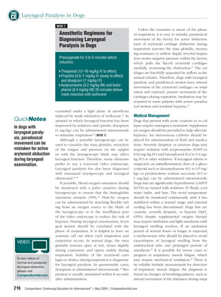 FREE
CE Laryngeal Paralysis in Dogs
                              BOX 1
                                                                                          Unless the examiner is aware of the phase
                                Anesthetic Regimens for                               of respiration, it is easy to mistake paradoxical
                                Diagnosing Laryngeal                                  movement of the larynx for active abduction.
                                                                                      Lack of arytenoid cartilage abduction during
                                Paralysis in Dogs                                     inspiration narrows the rima glottidis, increas-
                                                                                      ing resistance to airﬂow. Rapid, forceful inspira-
                                Preoxygenate for 3 to 5 minutes before                tion creates negative pressure within the larynx,
                                induction.                                            which pulls the ﬂaccid arytenoid cartilages
                                                                                      medially, worsening the obstruction.27 The car-
                                 Thiopental (12–16 mg/kg IV to effect)                tilages are forcefully separated by airﬂow as the
                                 Propofol (4.5–7 mg/kg IV slowly to effect)           animal exhales. Therefore, dogs with laryngeal
                                 and doxapram (1 mg/kg IV)                            paralysis and paradoxical motion have inward
                                 Acepromazine (0.2 mg/kg IM) and butor-               movement of the arytenoid cartilages on inspi-
                                 phanol (0.4 mg/kg IM) 20 minutes before
                                                                                      ration and outward, passive movement of the
                                 mask induction with isoﬂurane
                                                                                      cartilages during expiration. Intubation may be
                                                                                      required in some patients with severe paradox-
                                                                                      ical motion and resultant hypoxia.23
                             examined under a light plane of anesthesia
                             induced by mask inhalation of isoﬂurane.21 In Medical Management
 QuickNotes                  animals in which laryngeal function has been Dogs that present with acute cyanosis or in col-
                             depressed by sedatives and opioids, doxapram lapse require emergency treatment. Supplemen-
 In dogs with
                             (1 mg/kg) can be administered intravenously tal oxygen should be provided to help alleviate
 laryngeal paraly-
                             to stimulate respiration23 (BOX 1).              hypoxia. An intravenous catheter should be
 sis, paradoxical               Although a portable laryngoscope can be placed for administration of ﬂuid and medica-
 movement can be             used to visualize the rima glottidis, retraction tions. Severely dyspneic or anxious dogs may
 mistaken for active         of the tongue and pressure on the epiglot- require sedation with acepromazine (0.005 to
 arytenoid abduction         tis with the laryngoscope blade may affect 0.02 mg/kg IV) and butorphanol (0.2 to 0.4 mg/
 during laryngeal            laryngeal function. Therefore, many clinicians kg IV) or other sedatives. If laryngeal edema is
 examination.                prefer to use a transoral video endoscope. suspected, an antiinﬂammatory dose of a gluco-
                             Laryngeal paralysis has also been diagnosed corticoid such as dexamethasone (0.1 to 0.5 mg/
                             with transnasal laryngoscopy and laryngeal kg) or prednisolone sodium succinate (0.5 to
                             ultrasound.24,25                                 1 mg/kg) can be administered intravenously.
                                If possible, blood oxygen saturation should Dogs that are signiﬁcantly hyperthermic (≥106°F
                             be monitored with a pulse oximeter during [41°C]) are treated with sedatives, IV ﬂuids, cool
                             laryngoscopy to ensure that the hemoglobin water baths, and fans. The rectal temperature
                             saturation remains ≥95%.26 Flow-by oxygen should be monitored continuously until it has
                             can be administered by attaching ﬂexible tub- stabilized within a normal range and external
                             ing from an oxygen source to the blade of cooling has been discontinued. Dogs that are
                             the laryngoscope or to the insufﬂation port cyanotic, severely dyspneic, or hypoxic (SpO2
                             of the video endoscope to reduce the risk of <95%) despite supplemental oxygen therapy
                             hypoxia. During laryngeal examination, laryn- may require intubation and light anesthesia until
                             geal motion should be correlated with the laryngeal swelling resolves. If an intubation
                             phase of respiration. It is helpful to have an period of several hours or longer is expected,
                             assistant call out when each inspiration and a tracheostomy tube should be placed to avoid
  VIDEO                      expiration occurs. In normal dogs, the rima exacerbation of laryngeal swelling from the
                             glottidis remains open at rest, closes slightly endotracheal tube and prolonged periods of
                             during expiration, and opens widely during anesthesia.28 It is possible for severe cases to
                             inspiration. Inability of the arytenoid carti- progress to respiratory muscle fatigue, which
  To see videos of           lages to abduct during inspiration is diagnostic may require mechanical ventilation.29 There is
  normal and paralyzed
                             for laryngeal paralysis. In questionable cases, no reliable bedside measurement for detection
  laryngeal abduction,
  please visit
                             doxapram is administered intravenously.23 Res- of respiratory muscle fatigue; the diagnosis is
  CompendiumVet.com.         piration is usually stimulated within 8 seconds based on changes in breathing patterns, such as
                             after administration.                            inward movement of the abdomen during inspi-

 216   Compendium: Continuing Education for Veterinarians® | May 2009 | CompendiumVet.com
 