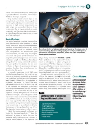 FREE
                                                                                        Laryngeal Paralysis in Dogs CE

ration, uncoordinated alterations between rib-           FIGURE 4
cage and abdominal movements, and increased
PaCO2 on blood gas analysis.29
   Dogs that have mild clinical signs or are
asymptomatic at rest may be managed con-
servatively by reducing stress, excitement, and
exposure to high ambient temperatures and
with weight loss as needed. Owners should
be informed that laryngeal paralysis is usually
progressive and that many dogs require surgery
as clinical signs become more severe or qual-
ity of life is affected.

Surgical Treatment
The goal of surgery is to enlarge the size of the
rima glottidis to decrease resistance to airﬂow
during inspiration. Surgical techniques include
unilateral arytenoid lateralization (UAL), partial
arytenoidectomy, vocal fold resection, castel- Dorsolateral view of a dissected canine larynx. (a) Muscular process of
                                                   arytenoid cartilage, (b) cricoid cartilage, (c) thyroid cartilage, (solid line) suture
lated laryngoﬁssure, and muscle–nerve pedi-
                   30–32
                                                   placement for cricoarytenoid lateralization, (broken line) suture placement for
cle transposition.       Some dogs may require thyroarytenoid lateralization.
concurrent soft palate resection because pro-
longed negative airway pressure can increase tilage during inspiration33 (FIGURES 4 AND 5).
soft palate length and thickness. Castellated Active abduction of the arytenoid with the
laryngoﬁssure is rarely performed, and mus- suture is not required to reduce laryngeal air-
cle–nerve pedicle transposition has not been way resistance.34,35 If the soft palate is elongated,
evaluated in dogs with spontaneous laryngeal it is resected before recovery from anesthesia.
paralysis; therefore, these procedures are not Bilateral arytenoid lateralization increases the
described in this article.                         risk of postoperative complications and respira-
    In animals undergoing vocal fold resec- tory-related death and is not recommended.11
tion for laryngeal paralysis, the vocal fold and      Complications are reported in 10% to 28%
process are removed unilaterally or bilaterally. of dogs that undergo UAL (BOX 2) and include QuickNotes
The procedure is often performed transorally aspiration pneumonia (8% to 33%), coughing
with scissors. If bilateral vocal cordectomy is and gagging (16%), suture failure or return of Administration of
performed, the ventral 1 to 2 mm of the vocal clinical signs (4% to 8%), gastric dilatation– doxapram during
fold should be left in place to reduce the risk volvulus (4%), respiratory distress (2% to 4%), laryngeal exami-
of scar formation and subsequent glottal steno- and sudden death (3%).12,14,36 Aspiration pneu- nation facilitates
sis. Partial arytenoidectomy involves unilateral monia may occur shortly after surgery or at differentiation of
resection of the corniculate process of the
                                                                                                                laryngeal paraly-
arytenoid cartilage. This procedure can also be     BOX 2
performed through a transoral approach with
                                                                                                                 sis from drug-
cup biopsy forceps and may be combined with           Complications of Unilateral                               induced laryngeal
                                      12
a vocal fold resection. In one study, complica-       Arytenoid Lateralization                                  dysfunction.
tions were reported in 40% of dogs undergo-
ing unilateral laryngectomy (arytenoidectomy,
                                                       Aspiration pneumonia
vocal cordectomy, or a combination of both)
                                                       Coughing/gagging
for treatment of laryngeal paralysis, and 30% of
                                                       Surgical repair failure
the dogs died from respiratory-related causes.
    UAL is the most commonly performed pro-
                                                       Respiratory distress
cedure for laryngeal paralysis.12,14 With this         Gastric dilatation–volvulus
technique, a suture is placed between the              Seroma formation
arytenoid and cricoid or thyroid cartilages to         Sudden death
prevent inward motion of the arytenoid car-

                                                  CompendiumVet.com | May 2009 | Compendium: Continuing Education for Veterinarians®   217
 