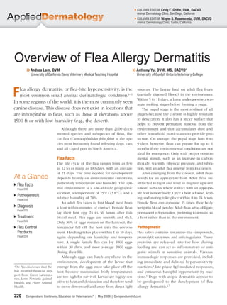 COLUMN EDITOR
                                                                                       COLUMN EDITOR Craig E. Grifﬁn, DVM, DACVD
                                                                                       Animal Dermatology Clinic, San Diego, California
                                                                                       COLUMN EDITOR
                                                                                       COLUMN EDITOR Wayne S. Rosenkrantz, DVM, DACVD
                                                                                       Animal Dermatology Clinic, Tustin, California




Overview of Flea Allergy Dermatitis
        ❯❯ Andrea Lam, DVM                                                         ❯❯ Anthony Yu, DVM, MS, DACVDa
             University of California Davis Veterinary Medical Teaching Hospital      University of Guelph Ontario Veterinary College




F  lea allergy dermatitis, or ﬂea-bite hypersensitivity, is the
   most common small animal dermatologic condition.1–3
In some regions of the world, it is the most commonly seen
                                                                                       sources. The larvae feed on adult ﬂea feces
                                                                                       (partially digested blood) in the environment.
                                                                                       Within 5 to 11 days, a larva undergoes two sep-
                                                                                       arate molting stages before forming a pupa.
canine disease. This disease does not exist in locations that                             The pupal stage is the most resilient of all
are inhospitable to ﬂeas, such as those at elevations above                            stages because the cocoon is highly resistant
                                                                                       to desiccation. It also has a sticky surface that
1500 ft or with low humidity (e.g., the desert).
                                                                                       helps to prevent premature removal from the
                                   Although there are more than 2000 docu-             environment and that accumulates dust and
                                mented species and subspecies of ﬂeas, the             other household particulates to provide pro-
                                cat ﬂea (Ctenocephalides felis felis) is the spe-      tection. On average, the pupal stage lasts 8 to
                                cies most frequently found infesting dogs, cats,       9 days; however, ﬂeas can pupate for up to 6
                                and all caged pets in North America.                   months if the environmental conditions are not
                                                                                       ideal for emergence. Only with proper environ-
                                 Flea Facts                                            mental stimuli, such as an increase in carbon
                                The life cycle of the ﬂea ranges from as few           dioxide, warmth, physical pressure, and vibra-
                                as 12 to as many as 190 days, with an average          tion, will an adult ﬂea emerge from its cocoon.
                                of 21 days. The time needed for development               After emerging from the cocoon, adult ﬂeas
At a Glance                     depends heavily on environmental conditions,           search for an appropriate host. Adult ﬂeas are
                                particularly temperature and humidity. The opti-       attracted to light and tend to migrate upward
  Flea Facts
  Page 220                      mal environment is a low-altitude geographic           toward surfaces where contact with an appropri-
                                location, a temperature of 75°F (23.8°C), and a        ate host is more likely. Once a host is found, feed-
  Pathogenesis
  Page 220
                                relative humidity of 78%.                              ing and mating take place within 8 to 24 hours.
                                    An adult ﬂea takes its ﬁrst blood meal from        Female ﬂeas can consume 15 times their body
  Diagnosis                     a host within minutes of contact. Female ﬂeas          weight in blood per day. Adult ﬂeas act as obligate,
  Page 222
                                lay their ﬁrst egg 24 to 36 hours after this           permanent ectoparasites, preferring to remain on
  Treatment                     blood meal. Flea eggs are smooth and slick.            a host rather than in the environment.
  Page 223
                                Only 30% of eggs remain on the haircoat; the
  Flea Control                  remainder fall off the host into the environ-          Pathogenesis
  Products                      ment. Hatching takes place within 1 to 10 days,        Flea saliva contains histamine-like compounds,
  Page 224                      again depending on humidity and tempera-               proteolytic enzymes, and anticoagulants. These
                                ture. A single female ﬂea can lay 1000 eggs            proteins are released into the host during
                                within 30 days, and most average 2000 eggs             feeding and can act as inflammatory or anti-
                                during their life.                                     genic stimuli in sensitive animals. Various
                                    Although eggs can hatch anywhere in the            immunologic responses are provoked, includ-
                                environment, development of the larvae that            ing immediate and delayed hypersensitivity
a
  Dr. Yu discloses that he      emerge from the eggs must take place off the           reactions,4 late-phase IgE-mediated responses,
has received ﬁnancial sup-      host because mammalian body temperatures               and cutaneous basophil hypersensitivity reac-
port from Greer Laborato-
                                are too high for survival. Larvae are highly sen-      tions.5 Dogs with atopic dermatitis appear to
ries, Iams, Novartis Animal
Health, and Pﬁzer Animal        sitive to heat and desiccation and therefore tend      be predisposed to the development of ﬂea
Health.                         to move downward and away from direct light            allergy dermatitis.6,7

220     Compendium: Continuing Education for Veterinarians® | May 2009 | CompendiumVet.com
 