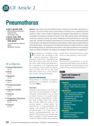 3 CE
CREDITS   CE Article 2


   Pneumothorax
   ❯❯ Karl C. Maritato, DVM               Abstract: Pneumothorax may be classiﬁed as open or closed and as traumatic, spontaneous, or
      MedVet Medical and Cancer           iatrogenic. The most common cause of pneumothorax is thoracic trauma. Spontaneous pneu-
      Center for Pets
      Worthington, Ohio
                                          mothorax is often a result of bullous emphysema, and iatrogenic pneumothorax is an important
                                          complication of procedures involving the thoracic cavity. Most animals present with tachypnea,
   ❯❯ José A. Colón, DVM
   ❯❯ David H. Kergosien, MS,             tachycardia, respiratory distress, and anxiety. Radiography and thoracocentesis are useful diag-
      DVM, DACVS                          nostic aids. Traumatic and iatrogenic pneumothorax are commonly treated with thoracocentesis
   ❯❯ Louisiana Veterinary Referral       or thoracostomy tube placement. Spontaneous pneumothorax usually requires surgical resection
      Center                              of the affected lobe(s). The prognosis for traumatic pneumothorax is excellent if there are no other
      Mandeville, Louisiana               life-threatening injuries; for spontaneous pneumothorax, the prognosis depends on the underlying
                                          cause and method of treatment. The prognosis for iatrogenic pneumothorax is considered good.



                                          P
                                                  neumothorax is classiﬁed as open              results from a penetrating thoracic injury
                                                  or closed and according to the                such as a stab, gunshot, or bite wound.
                                                  causative mechanism. Open pneu-
                                           mothorax results from a penetrating tho-             Spontaneous
                                           racic injury that permits entry of air into          Spontaneous pneumothorax is not the
   At a Glance                             the chest, while closed pneumothorax is
                                           the accumulation of air originating from
                                                                                                result of traumatic injury and is classiﬁed as
                                                                                                closed. Spontaneous pneumothorax is less
     Causative Mechanisms                  the respiratory system within the pleural            common than traumatic pneumothorax,1,7–10
     Page 232                              space. In some cases, the air may come
     Effects                               from both sources (e.g., severe thoracic             BOX 1
     Page 234                              bite wounds with lung punctures).
                                                                                                  Types and Causes of
     Signalment
     Page 234                              Causative Mechanisms                                   Pneumothorax
                                           Pneumothorax is classiﬁed as traumatic,
     History
     Page 234                              spontaneous, or iatrogenic according to
                                                                                                    Traumatic
                                           its cause1 (BOX 1).
     Physical Examination                                                                             ❯ Open: Stab, gunshot, bite wounds
     Page 235                                                                                         ❯ Closed: Impact (inﬂicted by person
                                          Traumatic
                                                                                                        or car)
     Diagnostic Evaluation                 Traumatic pneumothorax is the most com-
     Page 235
                                                                                                    Spontaneous
                                           mon form of pneumothorax in dogs.1–6
                                                                                                      ❯ Cavitary lung lesions: Bullae/blebs,
     Treatment                             Traumatic pneumothorax can be open                           cysts, abscesses/granulomas,
     Page 236                              or closed1; however, it is usually closed.2                  pneumatoceles, parasitic cysts
     Postoperative Thoracotomy             Closed traumatic pneumothorax is often                       (Paragonimus spp)
     and Monitoring                        the result of blunt trauma (e.g., automo-                  ❯ Grass awns/porcupine quills
     Page 240                              bile accident). When the chest is com-                     ❯ Pneumonia
                                           pressed against a closed glottis, the                      ❯ Diroﬁlaria immitis
     Prognosis
     Page 240                              bronchial tree or lung parenchyma can                      ❯ Neoplasia
                                           rupture with resultant air leakage into                    ❯ Feline asthma
                                           the pleural space.3,4 If a large airway is               Iatrogenic
                                           injured, pneumomediastinum may be                          ❯ Thoracic ﬁne-needle aspiration
                                           present.5,6 Fractured ribs can lacerate lung               ❯ Tracheal intubation
                                           lobes, resulting in closed traumatic pneu-                 ❯ Mechanical ventilation
                                           mothorax.3 Open traumatic pneumothorax

   232     Compendium: Continuing Education for Veterinarians® | May 2009 | CompendiumVet.com
 