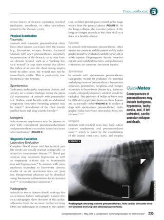 FREE
                                                                                                          Pneumothorax CE

recent history of thoracic aspiration, tracheal     cent, air-ﬁlled pleural space created as the lungs
intubation, anesthesia, or other procedures         retract from the parietal pleura (FIGURE 3). As
related to the thoracic cavity.                     the lungs collapse, the vascular pattern of the
                                                    lungs no longer extends to the chest wall as it
Physical Examination                                does in a healthy animal.
Traumatic
Animals with traumatic pneumothorax often Traumatic
have other injuries associated with the trauma In animals with traumatic pneumothorax, other
(e.g., lacerations, scrapes, bruises, fractures). injuries are common, and the patient and the radio-
Animals with open pneumothorax secondary graphs should be evaluated carefully for occult or
to penetration of the thoracic cavity may have subtle injuries. Diaphragmatic hernia, hemotho-
an obvious wound, such as a “sucking tho- rax, rib and vertebral fractures, and pulmonary
racic wound” (a large open wound that allows contusions are common concurrent injuries.
the inﬂux of air into the chest during inspira-
tion).4 In other cases, the wound may not be Spontaneous
immediately visible. This is particularly true In animals with spontaneous pneumothorax,
for thoracic bite wounds.                         radiographs should be evaluated for potential
                                                  underlying causes of pneumothorax. Pneumonia,
Spontaneous                                       abscesses, granulomas, neoplasia, and changes
Tachypnea, tachycardia, respiratory distress, and secondary to heartworm disease (e.g., tortuous             QuickNotes
anxiety are common ﬁndings during the physi- vessels, enlarged pulmonary arteries) should be                 Consequences of
cal examination of animals with pneumotho- excluded. The presence of bullae or blebs may
                                                                                                             pneumothorax may
rax. Shallow, rapid breaths with an abdominal be difﬁcult to appreciate; however, these lesions
component (restrictive breathing pattern) may are occasionally visible (FIGURE 4). In studies of
                                                                                                             include tachypnea,
be noted.1,4 Auscultation of the chest reveals dogs with spontaneous pneumothorax, radio-                    hypoxemia, tachy-
mufﬂed heart and lung sounds dorsally.3,4         graphic bullae have been detected in 4% to 31%             cardia, and, if left
                                                  of cases.1,7,12,39                                         untreated, cardio-
Iatrogenic                                                                                                   vascular collapse
Subcutaneous emphysema may be present in            Iatrogenic                                               and death.
cats with concomitant pneumomediastinum             Animals with tracheal tears may have subcu-
and pneumothorax secondary to tracheal tears        taneous emphysema and pneumomediasti-
after intubation33 (FIGURE 2).                      num,5,33 which is noted by the visualization
                                                    of the cranial vena cava, aorta, and esopha-
Diagnostic Evaluation
                                                     FIGURE 3
Laboratory Evaluation
Complete blood count and biochemical pro-
ﬁle results are usually normal, nonspeciﬁc, or
related to concomitant disease.12,39 Blood gas
analysis may document hypoxemia as well
as respiratory acidosis due to hypoventila-
tion and hypercapnia.36 In animals with pneu-
mothorax secondary to heartworm disease,
results of occult heartworm tests are posi-
tive. Paragonimus infections can be identiﬁed
using Baermann sedimentation fecal examina-
                                                                                                                                         Courtesy of Dr. Mauterer




tion18,40 or transtracheal aspiration.18

Radiography
Animals in severe distress should undergo tho-
racocentesis before radiography. Lateral tho-
racic radiographs show elevation of the cardiac
silhouette from the sternum. Atelectatic lung       Radiograph showing severe pneumothorax. Note cardiac silhouette eleva-
lobes are radiopaque in contrast to the radiolu-    tion (bracket) and lung lobe atelectasis (arrowhead).


                                              CompendiumVet.com | May 2009 | Compendium: Continuing Education for Veterinarians®   235
 