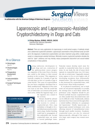 In collaboration with the American College of Veterinary Surgeons




                   Laparoscopic and Laparoscopic-Assisted
                   Cryptorchidectomy in Dogs and Cats
                                                                                       ❯❯ Philipp Mayhew, BVM&S, MRCVS, DACVS
                                                                                                                 Columbia River Veterinary Specialists
                                                                                                                 Vancouver, Washington


                                                                                      Abstract: There are many applications for laparoscopy in small animal surgery. A relatively simple
                                                                                      one is abdominal cryptorchid castration. Laparoscopic examination of the peritoneal cavity can both
                                                                                      aid in the diagnosis of abdominal cryptorchidism and allow treatment using either a totally laparo-
                                                                                      scopic or a laparoscopic-assisted technique. Minimally invasive cryptorchid castration obviates the
                                                                                      need for “open” celiotomy and may thereby reduce postoperative discomfort and wound-related
 At a Glance                                                                          complications in these patients.
   Advantages
   Page 275



                                                                               D
                                                                                               uring embryonic development in                                          Testicular tumors develop much more fre-
   Disadvantages                                                                               male dogs and cats, contraction of                                      quently in cryptorchid testes than in scrotal
   Page 275                                                                                    the gubernaculum causes progres-                                        testes. In one study, the risk of tumor devel-
   Preoperative                                                                         sive migration of the testes from a location                                   opment in cryptorchid testes was 13.6 times
   Assessment                                                                           just caudal to the kidney to their normal                                      the risk in scrotal testes.2 Inguinally retained
   Page 275                                                                             position in the scrotum.1 This migration is                                    testes appear to be at even higher risk of
   Instrumentation                                                                      typically complete by 2 months of age but                                      developing neoplasia than abdominally
   Page 276                                                                             can take place as late as 6 months of age in                                   retained testes.3 The risk of testicular torsion
                                                                                        some breeds.1 The cause of cryptorchidism                                      is also increased for cryptorchid testes, with
   Surgical Techniques
   Page 278                                                                             has not been completely elucidated but is                                      torsed testes often being neoplastic.4
                                                                                        likely multifactorial.1 Migration of the testis                                   If, on physical examination, one or both
                                                                                        can cease at any time, with the result that                                    testes are not present inguinally or scrotally,
                                                                                        one or both testes can remain in the perito-                                   the missing testis is most likely within the
                                                                                        neal cavity, within the inguinal rings, or in                                  peritoneal cavity. Palpation should be per-
                                                                                                       the inguinal area cranial to                                    formed carefully because cryptorchid testes
                                                                                                       the scrotum.                                                    are often smaller than descended testes and
   TO LEARN MORE                                                                                          Owners should be advised                                     can be difﬁcult to ﬁnd. Traditionally, abdom-
                                                                                                       that there are several impor-                                   inal testes have been removed through either
                                                                                                       tant reasons to castrate a                                      a ventral midline celiotomy or a paraprepu-
                                                                                                       cryptorchid pet. First, cryp-                                   tial laparotomy.5 Totally laparoscopic or
    For a description of                                                                                                                       CE Article #1


                                                   Cryptorchidism                                      torchidism is thought to be a                                   laparoscopic-assisted techniques now exist,
    conventional surgical                          Stephen J. Birchard, DVM, MS, DACVS
                                                   Michael Nappier, DVM
                                                   The Ohio State University




    approaches to cryptorchid
                                                                                                       sex-linked autosomal recessive
                                                   ABSTRACT: Cryptorchidism is a common clinical problem in dogs and cats. Retained testes can
                                                   be unilateral or bilateral, are usually small and atrophied, and vary in location.These factors make
                                                   diagnosis and surgical removal challenging in some animals. Diagnosis is confirmed using a variety of
                                                   modalities, including diagnostic imaging in difficult cases. Surgical removal of the affected and normal
                                                   testes is the treatment of choice.The surgical approach and technique used depend on the location
                                                                                                                                                                       allowing removal of intraabdominal testes
                                                   of the retained testis.




    testes, see the June 2008                     C
                                                              ryptorchidism is one of the most com-
                                                              mon congenital defects seen in small ani-
                                                              mal practice. In dogs, the reported
                                                      prevalence of cryptorchidism ranges from 0.8%
                                                      to 10%.1 The defect is a sex-linked autosomal
                                                                                                       trait in dogs. Further breeding
                                                      recessive trait that is common in certain breeds,2
                                                                                                              ficult in some animals. A thorough and systematic
                                                                                                              approach to patient evaluation is necessary to effi-
                                                                                                              ciently find and remove the abnormal testis.
                                                                                                              Although surgery for removal of cryptorchid
                                                                                                              testes is well described in the veterinary literature,
                                                                                                              approaches to diagnosis and localization of ectopic
                                                                                                                                                                       through much smaller incisions. Neoplastic
                                                      such as Chihuahuas, miniature schnauzers,               testes have not been extensively described. This
                                                      Pomeranians, poodles, Shetland sheepdogs, and           lack, coupled with the increasing number of ani-




                                                                                                       could lead to propagation of                                    cryptorchid testes can also be removed
                                                      Yorkshire terriers. Smaller breeds are 2.7 times        mals that present with an unknown neutering his-




    article “Cryptorchidism,”
                                                      more likely to be cryptorchid than larger breeds.3      tory (e.g., rescue animals), emphasizes the need for
                                                      In cats, one study found Persians to be predis-         a discussion of a thorough clinical approach to
                                                      posed to cryptorchidism.4 Due to the thermal            cryptorchidism.
                                                      suppression of sperm production, bilaterally               This article describes a systematic approach
                                                      cryptorchid animals are sterile, while unilaterally     to the diagnosis and surgical treatment of cryp-
                                                      cryptorchid animals are usually fertile.5 Unde-         torchidism in dogs and cats, including the inte-
                                                      scended testes are 13.6 times more likely to            gration of the history; physical examination;
                                                      develop neoplasia (Figure 1) than normal testes         blood tests, including hormone assays; and




                                                                                                       this undesirable trait. Second,                                 laparoscopically, although if the tumor is
                                                      and are at increased risk of torsion.6,7                diagnostic imaging to make a definitive




    available at
                                                         Undescended testes vary in their anatomic posi-      anatomic diagnosis. Various options for surgical
                                                      tion. They may be located in the prescrotal area,       removal of the retained testis are also described.
                                                      inguinal region, or abdominal cavity. In a study of
                                                                          240 cryptorchid dogs and 50         DIAGNOSIS
                                                                          cryptorchid cats, retained testes   History
                                                                          were most commonly found in           Most authors agree that if one or both testes
                                • Take CE tests                           the right inguinal region in        are not present in the scrotum by 2 months of
                                • See full-text articles                  dogs and in the left or right       age, the animal is cryptorchid. 2 It is highly




    CompendiumVet.com.
                                                                          inguinal region in cats.8 Locat-    unlikely that the testes will descend into the
                                CompendiumVet.com



                                                                                                       cryptorchid testes are prone                                    very large, open surgery may remain more
                                                                          ing an ectopic testis can be dif-   scrotum after this age. The clinical signs of


                                June 2008                                                        325                                              COMPENDIUM




                                                                                                       to several pathologic states.                                   practical.

 274     Compendium: Continuing Education for Veterinarians® | June 2009 | CompendiumVet.com
 