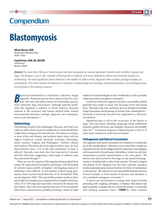 3 CE Credits




Blastomycosis
      Allison Werner, DVM
      Brykerwood Veterinary Clinic
      Austin, Texas

      Frank Norton, DVM, MS, DACVIM
      VCA Berwyn
      Berwyn, Illinois


      Abstract: For more than 100 years, blastomycosis has been recognized as causing significant morbidity and mortality in people and
      dogs. The disease is rare in cats. Isolation of the organism is difficult, and novel methods to culture environmental samples are
      forthcoming. The most significant clinical dilemma is the inability to make a timely diagnosis when multiple cytologic samples are
      unrewarding. This article reviews the literature on advances in epidemiology and serology, clinical presentations, new antifungal drugs,
      and progress in formulating a vaccine.




      B
            lastomyces dermatitidis is a well-known, infectious, fungal                                isolation for epidemiologists at sites of outbreaks as well as possibly
            organism. Blastomycosis has been characterized for more                                    replacing animal inoculation techniques.2
            than 100 years and affects almost all mammalian species,                                       Areas from which the organism has been successfully isolated
      most commonly dogs and humans. Although reported world-                                          generally have acidic or sandy soil, decaying wood, and animal
      wide, the organism is endemic in North America. Research                                         feces.7 Humidity, fog, rain, and heavy dew are thought to facilitate
      interests in the veterinary and human medical fields include                                     fungal sporulation and loosening of conidia from conidiophores.4,7
      environmental detection, serologic diagnosis, new treatments,                                    Proximity to waterways has also been implicated as a risk factor
      and vaccine formulation.1–3                                                                      for infection.7
                                                                                                           Signalment plays a role in the occurrence of the disease in
      Epidemiology                                                                                     dogs, with risk factors including young age, breed (Doberman
      Veterinarians located in the Mississippi, Missouri, and Ohio river                               pinschers, golden retrievers, and Labrador retrievers), and possibly
      valleys as well as those located in southeastern Canada should have                              male sex.7–9 In humans, diagnosis of blastomycosis is four to 15
      a high index of suspicion for this infection. The disease is endemic                             times more common in males than in females.1
      in most of the mid-Atlantic and southern states; states with the
      highest incidences include Kentucky, Louisiana, Mississippi,                                     Pathogenesis and Clinical Presentation
      South Carolina, Virginia, and Washington.4 Northern Illinois                                     The organism is primarily transmitted by inhalation of conidia that
      and southern Wisconsin also have high incidence rates. In such                                   are in the mycelial phase.7 Infection occurs when these conidia are
      hyperendemic areas, >1% of the total population of dogs is                                       deposited into the alveoli, phagocytized by pulmonary macrophages,
      affected.2 Sporadic cases have also been reported in Colorado                                    and transported to the pulmonary interstitium,7 where normal body
      and New York State, suggesting a wider range of endemic areas                                    temperatures promote transformation to the yeast phase.3 The
      than previously thought.5,6                                                                      disease may stay localized in the lungs or may spread hematoge-
          There are very few reports of the organism being isolated from                               nously or lymphatically to other body systems.7 Dermal or lingual
      nature, all using animal inoculation techniques, with thousands                                  inoculation of the organism has also been reported, causing a
      of cultures unsuccessfully attempted.2 Investigating sources of                                  localized granulomatous disease; however, this form of transmission
      outbreaks is thus difficult. A soil isolation method using poly-                                 is uncommon.8 The infection is not transmissible between humans,
      merase chain reaction–based detection of B. dermatitidis DNA                                     between animals, or from animals to humans and, therefore, is
      was developed in 2006.4 This test yielded positive results in three                              not considered contagious or zoonotic.1,4
      out of eight soil samples near a dog kennel in Lexington, Kentucky,                                  A typical case presentation is a young, male, large-breed dog
      where 35 of 100 dogs had reportedly contracted the disease the                                   presenting with coughing, tachypnea, or dyspnea. Skin lesions that
      year before. This is the first reported detection of B. dermatitidis                             appear papular or plaque-like are commonly present, occasionally
      DNA from a natural source, possibly providing a means of rapid                                   with draining cutaneous tracts7,9 (FIGURE 1). Other common


Vetlearn.com | August 2011 | Compendium: Continuing Education for Veterinarians®                                                                                                                   E1
©Copyright 2011 MediMedia Animal Health. This document is for internal purposes only. Reprinting or posting on an external website without written permission from MMAH is a violation of copyright laws.
 