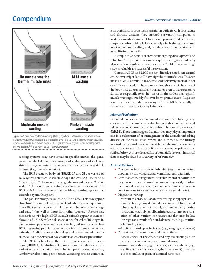 Pv0811 wsava nutrition assessment guideline_1082011