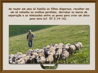 de reunir em uma só família os filhos dispersos, recolher em
um só rebanho as ovelhas perdidas, derrubar os muros de
separação e as inimizades entre os povos para criar um único
povo novo (cf. Ef 2,14-16).
 