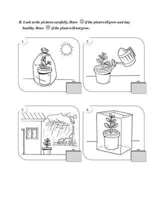 B. Look at the picturescarefully. Draw if the plantwillgrow and stay
healthy. Draw  if the plantwillnotgrow.
2.
2.
2.
1.
2.
4.
2.
3.
 