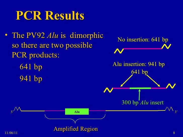 PV92 PCR Informatics