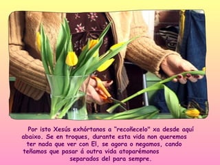 Por isto Xesús exhórtanos a “recoñecelo" xa desde aquí
abaixo. Se en troques, durante esta vida non queremos
 ter nada que ver con El, se agora o negamos, cando
teñamos que pasar á outra vida atoparémonos
                separados del para sempre.
 