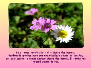 Se o temos recoñecido - di – diante dos homes,
  darémoslle motivos para que nos recoñeza diante de seu Pai;
se, pola contra, o temos negado diante dos homes, El tamén nos
                      negará diante do Pai.
 