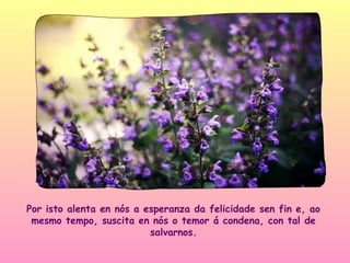 Por isto alenta en nós a esperanza da felicidade sen fin e, ao
 mesmo tempo, suscita en nós o temor á condena, con tal de
                          salvarnos.
 