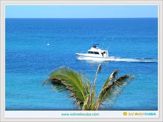 www.solmeliacuba.com 