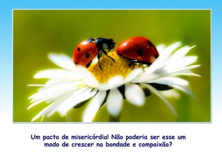 Um pacto de misericórdia! Não poderia ser esse um
modo de crescer na bondade e compaixão?
 