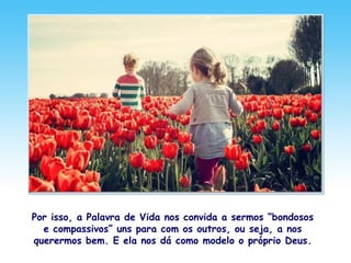 Por isso, a Palavra de Vida nos convida a sermos “bondosos
e compassivos” uns para com os outros, ou seja, a nos
querermos bem. E ela nos dá como modelo o próprio Deus.
 