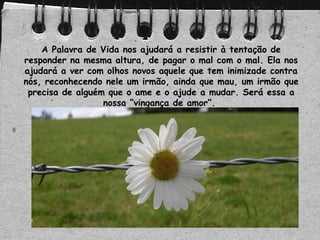 A Palavra de Vida nos ajudará a resistir à tentação de
responder na mesma altura, de pagar o mal com o mal. Ela nos
ajudará a ver com olhos novos aquele que tem inimizade contra
nós, reconhecendo nele um irmão, ainda que mau, um irmão que
precisa de alguém que o ame e o ajude a mudar. Será essa a
nossa “vingança de amor”.
 