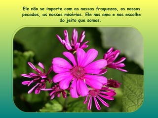 Ele não se importa com as nossas fraquezas, os nossos pecados, as nossas misérias. Ele nos ama e nos escolhe do jeito que somos .  