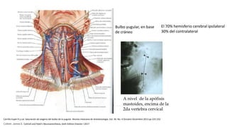 Bulbo yugular, en base
de cráneo
El 70% hemisferio cerebral ipsilateral
30% del contralateral
Carrillo-Esper R y col. Saturación de oxígeno del bulbo de la yugular. Revista mexicana de Anestesiología. Vol. 30. No. 4 Octubre-Diciembre 2013 pp 225-232
Cottrell, James E. Cottrell and Patel's Neuroanesthesia, Sixth Edition Elsevier I 2017
 