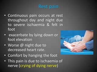 Rest pain
• Continuous pain occurs at rest
throughout day and night due
to severe ischaemia & felt in
foot
• exacerbate by lying down or
foot elevation
• Worse @ night due to
decreased heart rate.
• Comfort by hanging the foot
• This pain is due to ischaemia of
nerve (crying of dying nerve)
 
