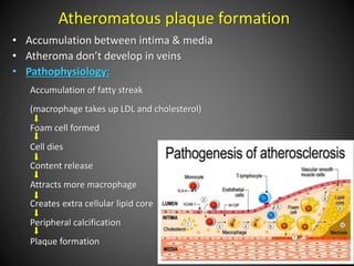 Atheromatous plaque formation
• Accumulation between intima & media
• Atheroma don’t develop in veins
• Pathophysiology:
Accumulation of fatty streak
(macrophage takes up LDL and cholesterol)
Foam cell formed
Cell dies
Content release
Attracts more macrophage
Creates extra cellular lipid core
Peripheral calcification
Plaque formation
 