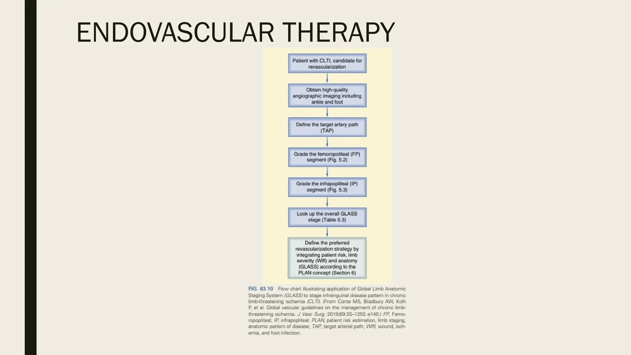 ENDOVASCULAR THERAPY
 