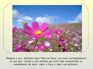 Chégase a ser, médrase como fillos de Deus, coa nosa correspondencia
   ao seu don, vivindo a súa vontade que está toda concentrada no
      mandamento do amor: amor a Deus e amor aos próximos.
 