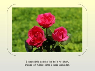 É necesario acollelo na fe e no amor,
crendo en Xesús como o noso Salvador.
 