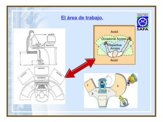 El área de trabajo. 