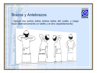 Brazos y Antebrazos : - Apoyar los puños sobre ambos lados del cuello, y luego tocar alternativamente un tobillo y el otro (repetidamente) 