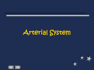 Arterial System
 
