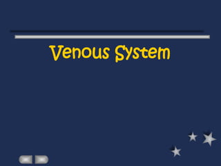 Venous System
 