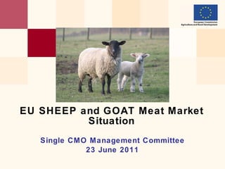 Single CMO  Management Committee 2 3  June 2011 EU   SHEEP and GOAT Meat Market  Situation 