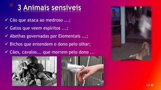 * 3 Animais sensíveis
11/ 30
 Cão que ataca ao medroso ...;
 Gatos que veem espíritos ...;
 Abelhas governadas por Elementais ...;
 Bichos que entendem o dono pelo olhar;
 Cães, cavalos... que morrem pelo dono ...
 