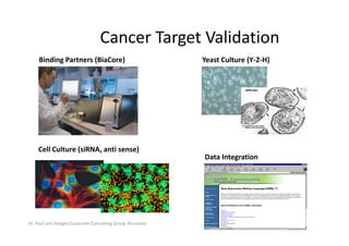 Cancer Target Validation
                                  Cancer Target Validation
     Binding Partners (BiaCore)                             Yeast Culture (Y‐2‐H)




    Cell Culture (siRNA, anti sense)
    Cell Culture (siRNA, anti sense)
                                                            Data Integration




Dr. Paul von Hoegen Euraccine Consulting Group (Brussels)
 