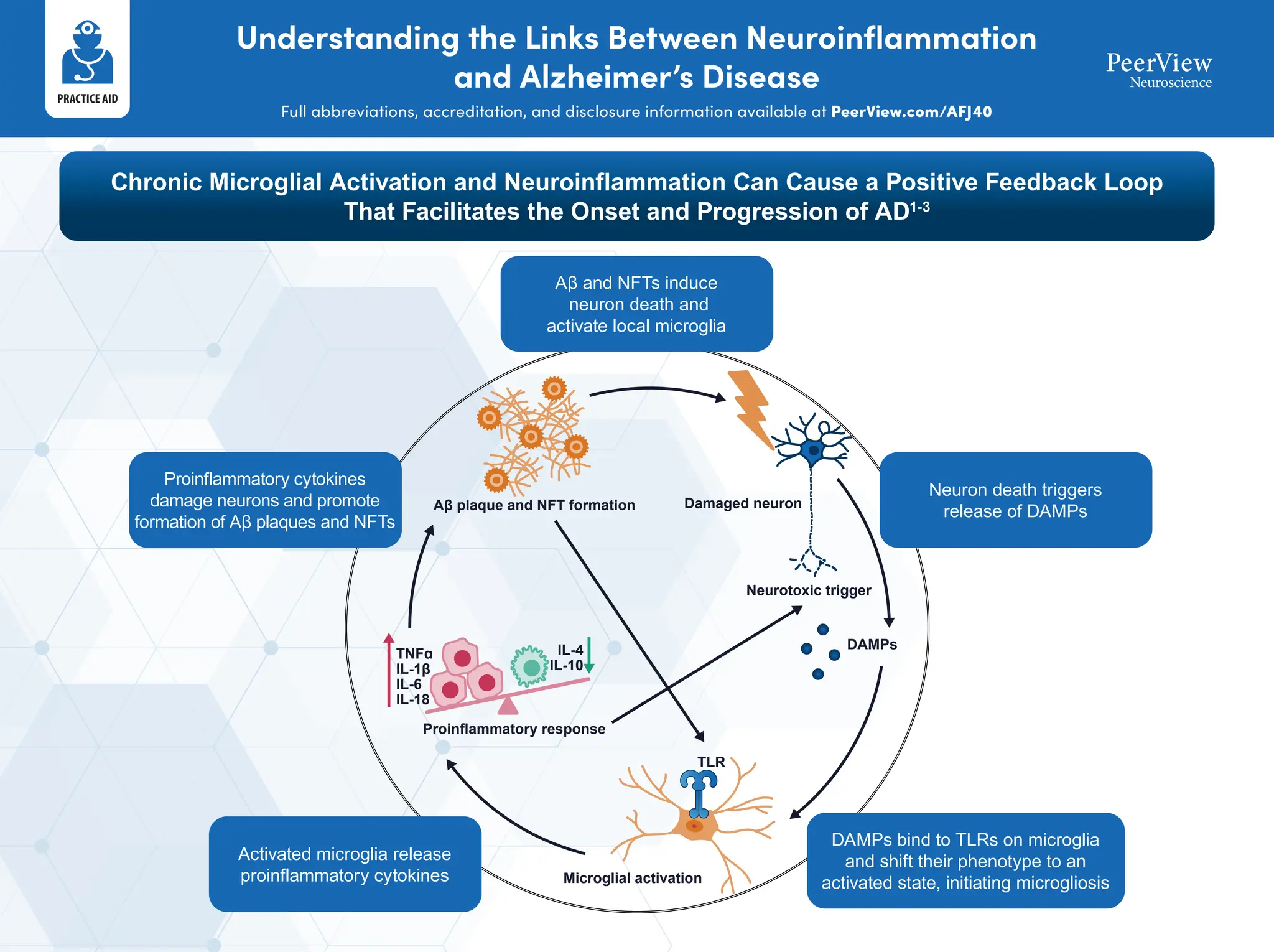 Visualizing the Role of Neuroinflammation in the Pathophysiology and ...