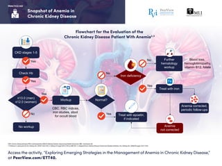 Exploring Emerging Strategies in the Management of Anemia in Chronic ...