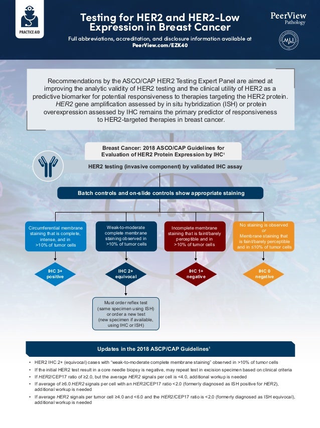 Decoding the Latest Evidence and Practical Recommendations on Biomarker ...