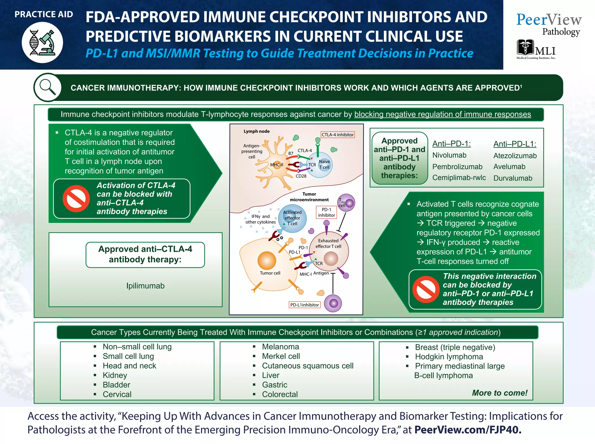 Keeping Up With Advances in Cancer Immunotherapy and Biomarker Testing ...