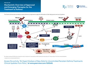 This Practice Aid has been provided as a quick reference to help learners apply the information to their daily practice and care of patients.
Mechanistic Overview of Approved
and Emerging Therapies for the
Treatment of Asthma1
APC: antigen-presenting cell; FeNO: fraction of exhaled nitric oxide; IL: interleukin; ILC: innate lymphoid cell; iNOS: Inducible nitric oxide synthase; Th2: T helper cell type 2; TSLP: thymic stromal lymphopoietin.
1. Parulekar A et al. Curr Opin Pulm Med. 2017;23:3-11.
PRACTICE AID
APCIL-25
IL-33
TSLP
Anti–IL-25
Anti–IL-33
Tezepelumab
Benralizumab
Mepolizumab
Resilizumab
DP2
Receptor/
CRTH2 Antagonists
Fevipiprant
Dupilumab
Omalizumab
Th2
Th2
ILC2
B cell
IL-5
IL-4
IL-13
Periostin
Epithelial Injury Airway LumenAirway Epithelium
Allergen Allergen
Subepithelial Mucosa
FeNO
Prostaglandin
D2
Bone Marrow
Maturation
Bloodstream
Periostin
Eosinophils
Eosinophils
Activated
B cell
IgE
IL-13
Mast
Cell
iNOS
Eosinophil
Lebrikizumab
Tralokinumab
Access the activity, “An Expert Analysis of New Data for Uncontrolled Persistent Asthma Treatments:
Clinical Updates From Paris,” at www.peerview.com/GGG40.
 