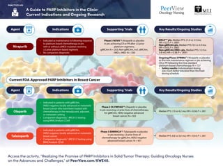 Realizing the Promise of PARP Inhibitors in Solid Tumor Therapy ...