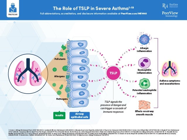 Tackling the Challenge of Treating Severe Asthma: Taking Aim at the ...