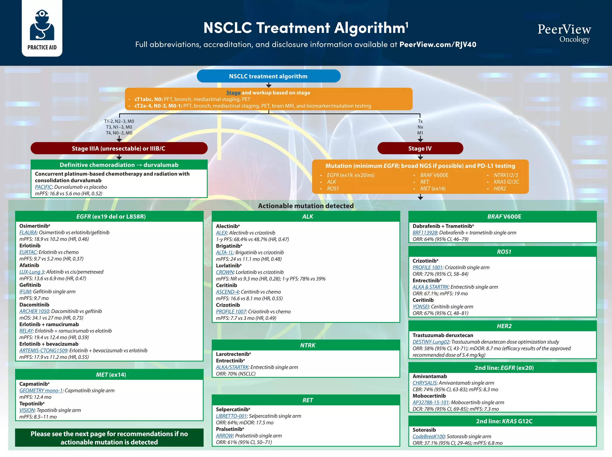 Refining Biomarker Testing and Targeted Treatment of NSCLC With Common ...