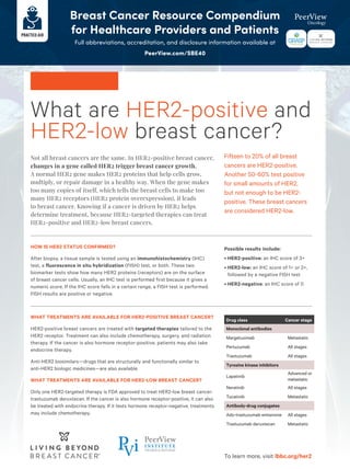 Accelerating Therapeutic Progress in HER2+ and HER2-Low Breast Cancer ...
