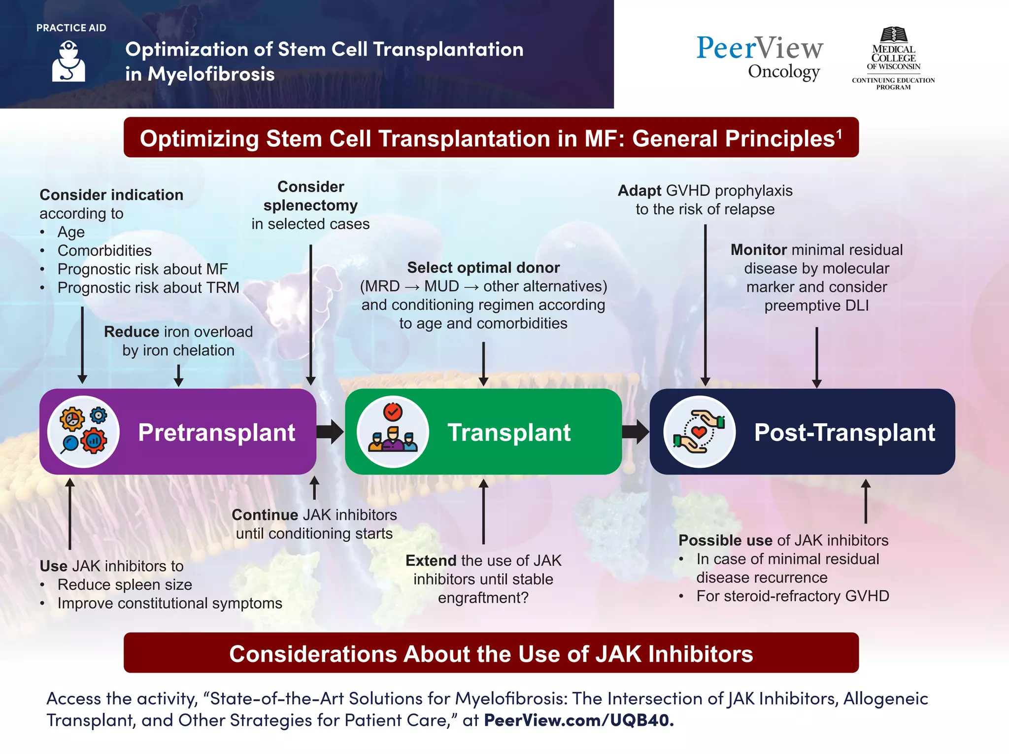 State-of-the-Art Solutions for Myelofibrosis: The Intersection of JAK ...